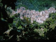 Michelangelo Frammartino: "The tree man belongs to Basilicata, to that small village Satriano."